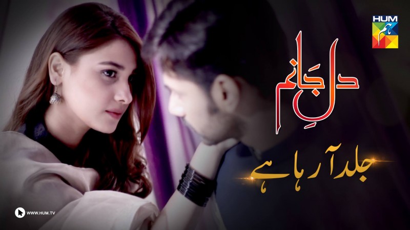 Dil e Jaanam Hum Tv Drama, Cast, Timings, And Schedule