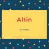 Altin Name Meaning Golden