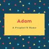 Adam Name Meaning A Prophet’S Name