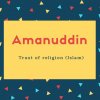Amanuddin Name Meaning Trust of religion (Islam)