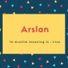 Arslan Name Meaning In muslim meaning is _ Lion