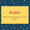 Budail Name Meaning Name Of A Companion Of The Prophet