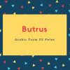 Butrus Name Meaning Arabic Form Of Peter