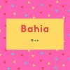 Bahia Name Meaning Nice