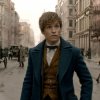 Fantastic Beasts and Where to Find Them 21