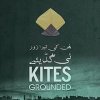 Kites Grounded 5