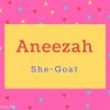 Aneezah Name Meaning She-Goat