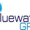 Blue Water Grill Logo
