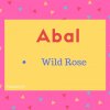 Abal Name Meaning Wild Rose.