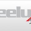 Deelux Sports Logo