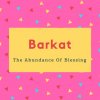 Barkat Name Meaning Of The Abundance Of Blessing