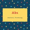Abs Name Meaning Austere, Frowning