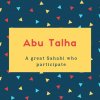 Abu Talha Name Meaning A great Sahabi who participate