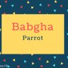 Babgha Name Meaning In Parrot