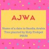Ajwa Name Meaning Name of a date in Saudia Arabia Tree planted by Holy Prohpet PBUH