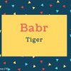 Babr Name Meaning In Tiger
