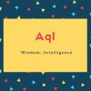 Aql Name Meaning Wisdom, Intelligence