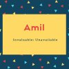 Amil Name Meaning Invaluable; Unavailable