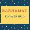 Barhamat Name meaning Flower Bud.