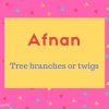 Afnan name meaning Tree branches or twigs