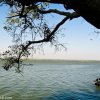 Haleji Lake Thatta