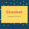 Chambeli Name Meaning Fragrant Flowers