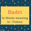 BadrI Name Meaning In Hindu meaning is - vishnu.jpg
