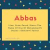 Abbas name meaning Lion, Grim-Faced, Stern; The Name Of One Of Mohammed&#039;S Uncles ; (Hebrew) Father.