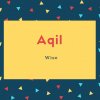 Aqil Name Meaning Wise