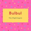 Bulbul Name Meaning The Nightingale