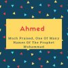 Ahmed Name Meaning Much Praised, One Of Many Names Of The Prophet Muhammad