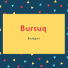 Bursuq Name Meaning Badger