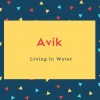 Avik Name Meaning Living In Water