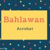 Bahlawan Name Meaning Acrobat