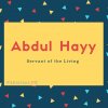 Abdul Hayy
