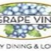 Grape Vine Logo