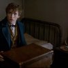 Fantastic Beasts and Where to Find Them 15