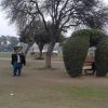 Gulshan e Iqbal Park Gujranwala 1