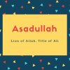 Asadullah Name Meaning Lion of Allah. Title of Ali