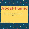 Abdel-hamid