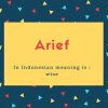 Arief Name Meaning In Indonesian meaning is _ wise