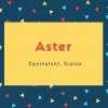 Aster Name Meaning Equivalent, Scales