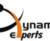 Dynamic Experts Solution Logo