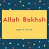 Allah Bakhsh Name Meaning Gift of Allah
