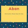 Aban name meaning Old Arabic Name Dual Of Abu.