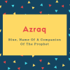Azraq Name Meaning Blue, Name Of A Companion Of The Prophet