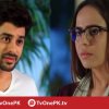 Dil e Majboor - TV One - Rohail and Hina