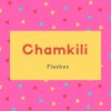 Chamkili Name Meaning Flashes