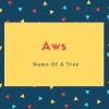Aws Name Meaning Name Of A Tree