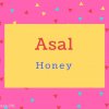 Asal name Meaning Honey
